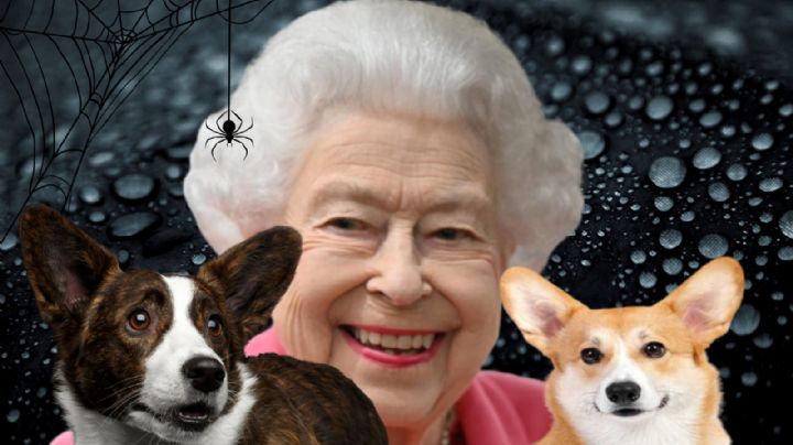 La tristeza de los perros corgis de la Reina Isabel y la misteriosa señal en el último adiós