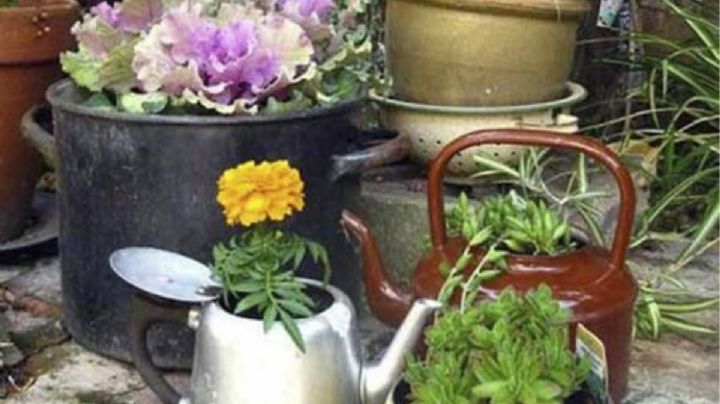 Renueva tu jardín con estas macetas creativas utilizando ollas viejas