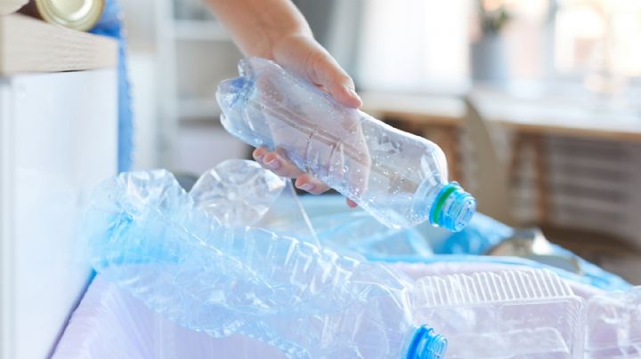 ¡Transforma tus Botellas de Plástico en Creaciones Únicas con Estas Ideas de Reciclaje Creativo!