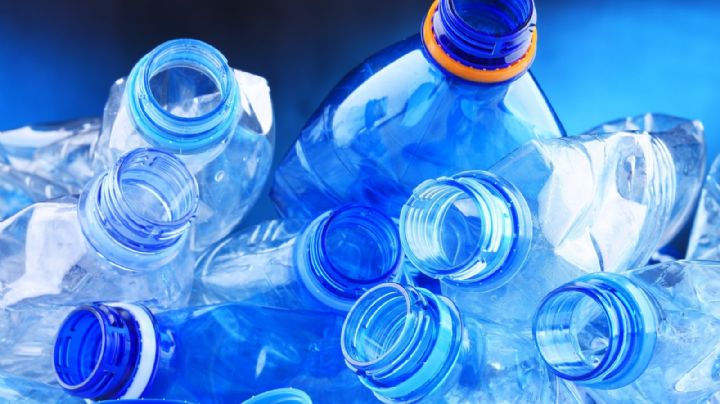Reutiliza las botellas de plástico que tienes en tu casa y crea hermosas manualidades